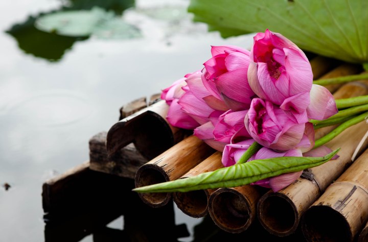 vietnamese lotus tea